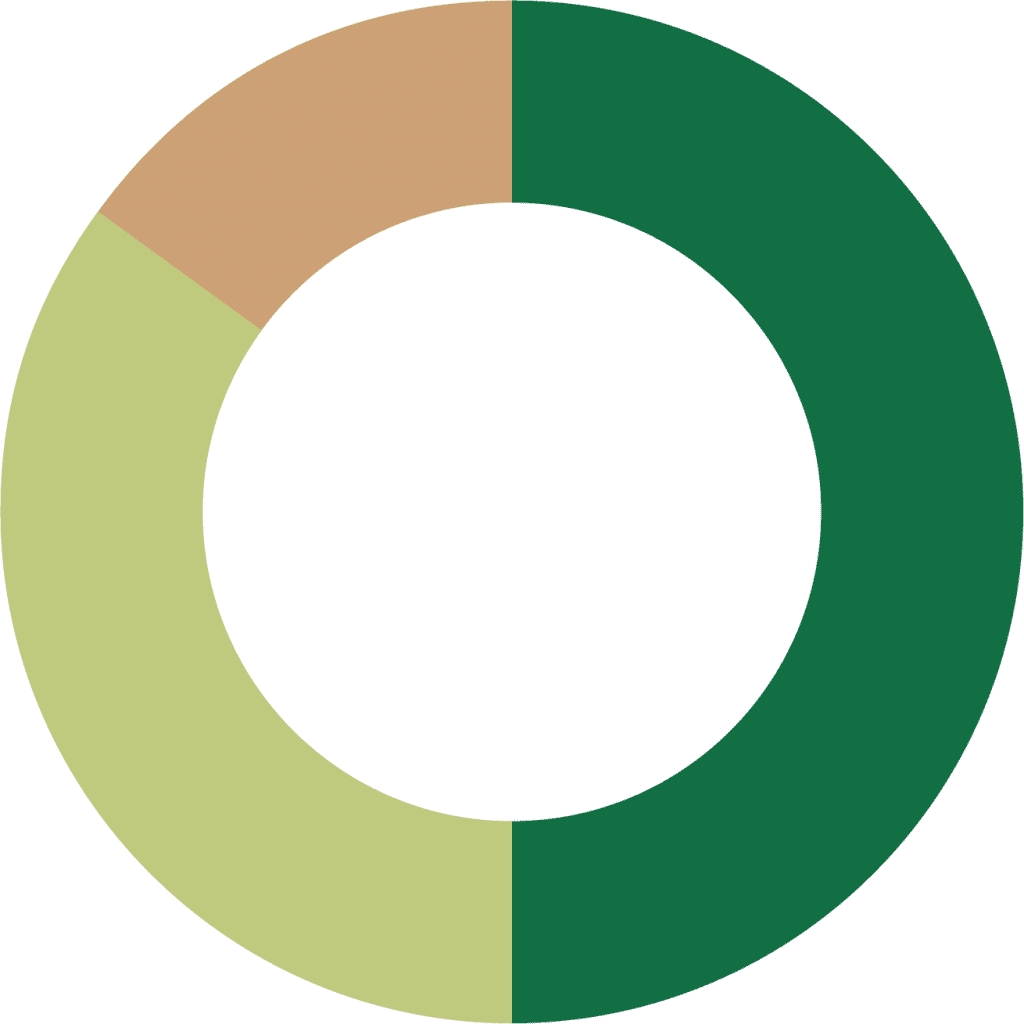 Fully Invested Strategy Churchill Management Group
